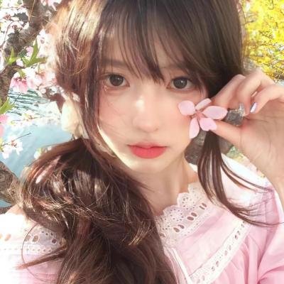胡同猫