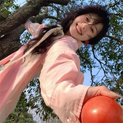 智叻狗仔队